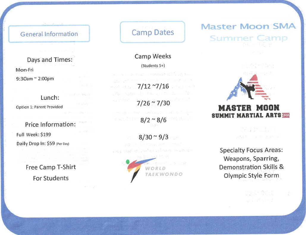 Ridge Martial Arts summer camp students